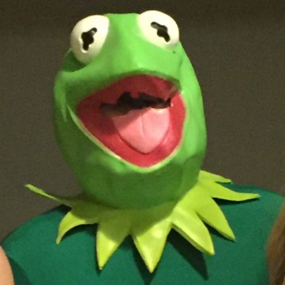 Kermit the Frog 🐸 Halloween Mask